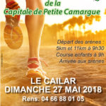 affiche 2 foulées de la capitale de petite camargue