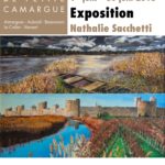 exposition juin 2018 port de plaisance de gallician