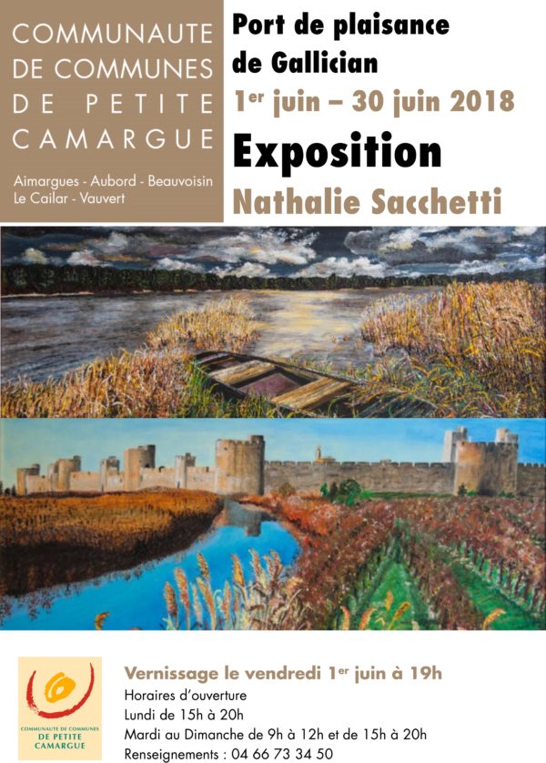 exposition juin 2018 port de plaisance de gallician