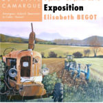Exposition de juillet port de plaisance de gallician