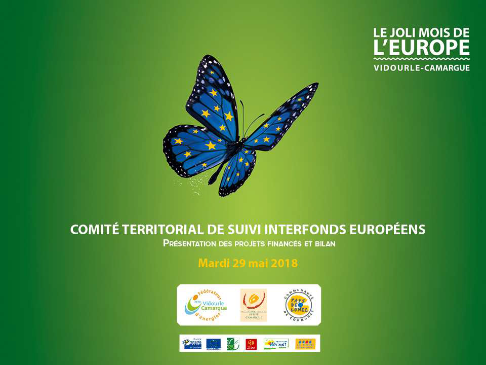 commité territorial de suivi interfonds européens