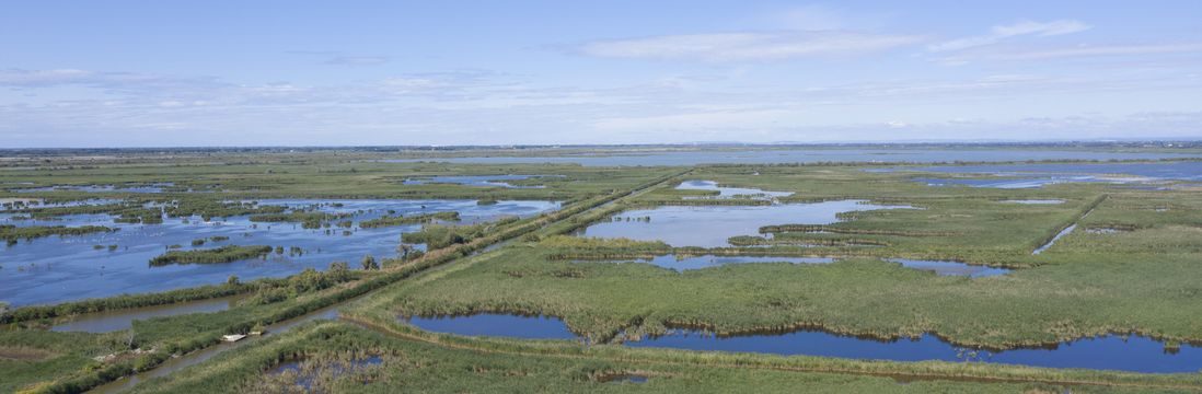 Petite Camargue