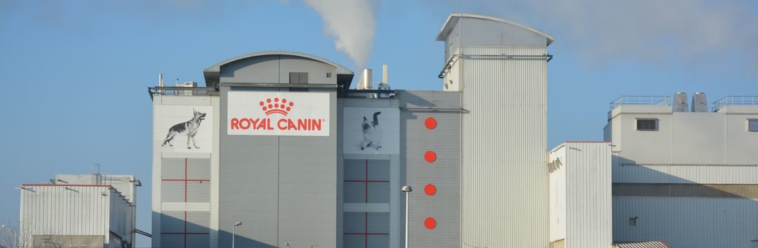 royal canin